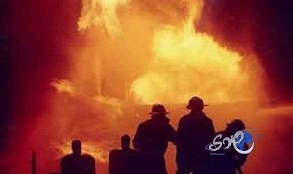 بالفيديو.. طفلة تساعد ماعزا على ولادة صغيرها