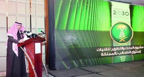 مشروع لإنتاج الطحالب يوفر 200 ألف وظيفة للمواطنين والمواطنات