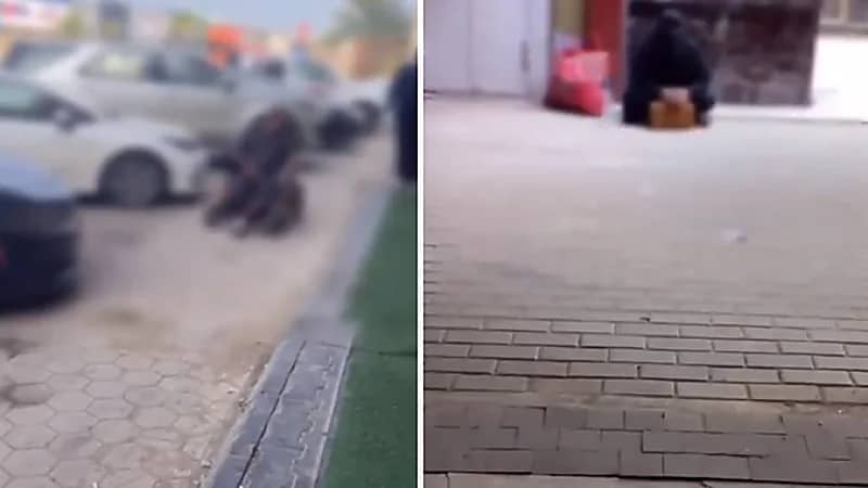 بالفيديو.. ضبط عدد من المتسولين بمنطقتي جازان وحائل