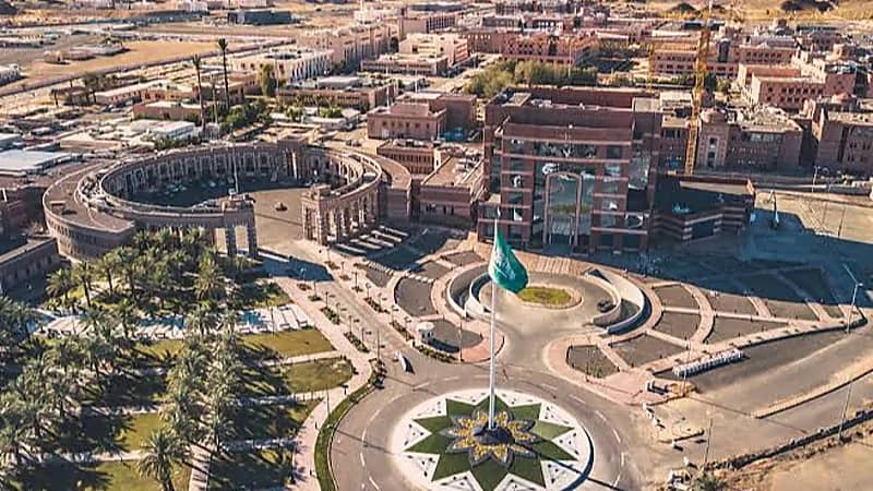 فريق بجامعة طيبة يكتشف طفرة في جين مسبب لداء السكري عند حديثي الولادة