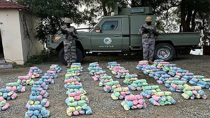 إحباط تهريب 220 كيلوجراماً من القات في جازان