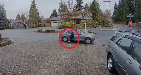 بالفيديو.. القبض على لصة بطريقة مثيرة للضحك