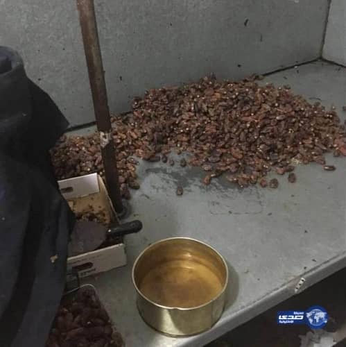 بالفيديو.. مصفف شعر يغير شكل سيدة عجوز بطريقة مذهلة