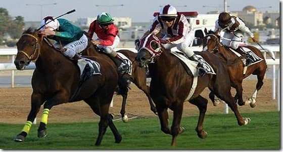 نادي الفروسية يقيم حفل سباقه الـ 49