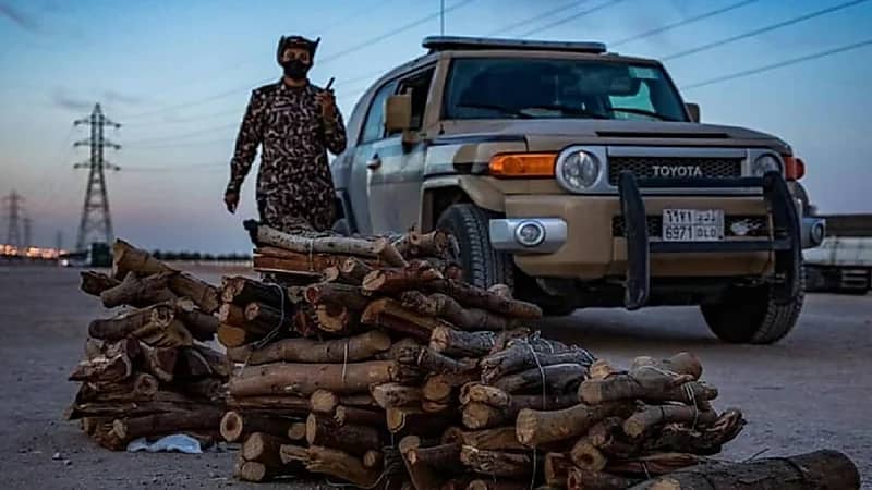 ضبط مخالفًا بحوزته حطب محلي معروض للبيع في جازان