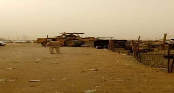 بالصور.. إزالة 107 حظيرة مواشي و89 مخيما بحي البيان