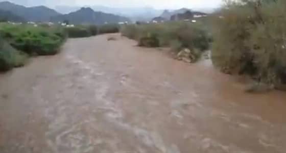 بالفيديو.. جريان السيول بالعرضيات