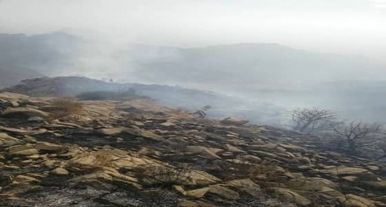 بالصور.. " مدني النماص " يسيطر على حريق أشجار بمنطقة جبلية