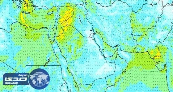 تحذيرات لمرضى العيون والجهاز التنفسي من طقس الغد