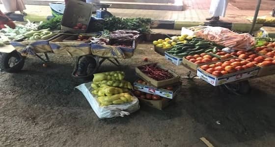 بالصور.. صحة البيئة بصامطة تصادر 173 كيلوجرام مواد غذائية منتهية الصلاحية