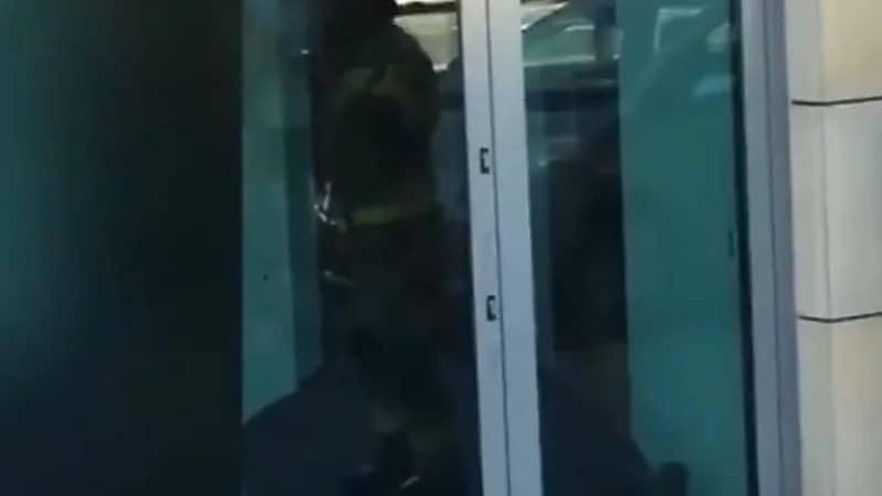 شاهد.. خنزير بري يثير حالة من الذعر والفوضى بصالون تجميل