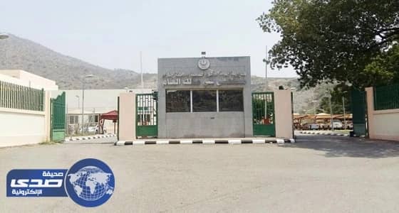 محافظ الداير يكشف حقيقة أنباء اكتشاف حالات جديدة لوباء الكوليرا