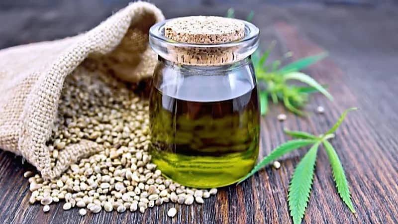 علماء: الأدلة التي تثبت أن زيوت القنب تساعد في إنهاء الألم قليلة جدًا