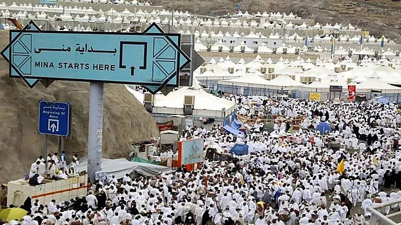 ضيوف خادم الحرمين يستقرون في مشعر عرفات لأداء الركن الأعظم