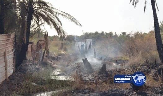  تغريم مواطن في تبوك أحرق بقايا مزرعته دون إبلاغ السلطات