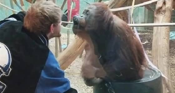 بالفيديو.. إنسان الغاب يقلد شابا ويمنحه قبله