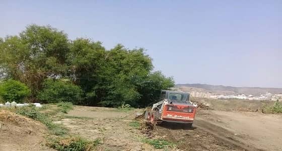 بالصور.. بلدية محايل تزيل مزرعة للورقيات تسقى بمياه الصرف الصحي