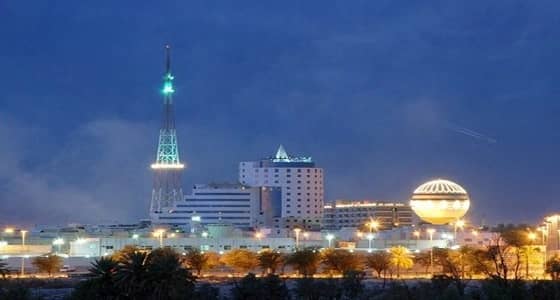 زراعة 4 ملايين شجرة في القصيم بحلول عام 2020