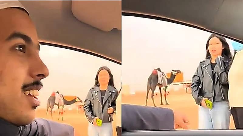 مواطن يصدم السياح الصينيين بتحدثه الصينية بطلاقة.. فيديو