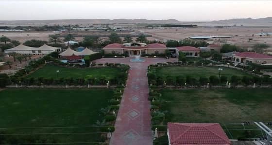 بالصور..معالم سياحية تبهر الأنظار بمحافظة ضرماء