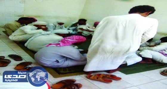 مصادرة 75 رأس أغنام مريضة بالمدينة