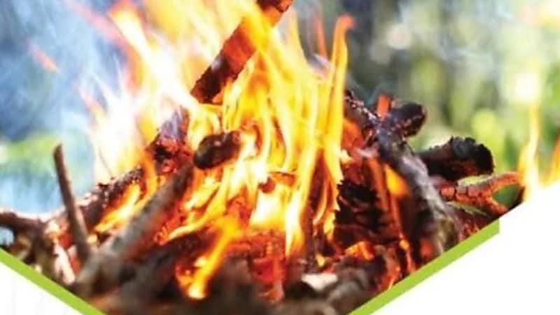 ضبط 26 مخالفًا لنظام البيئة لإشعالهم النار في أراضي الغطاء النباتي