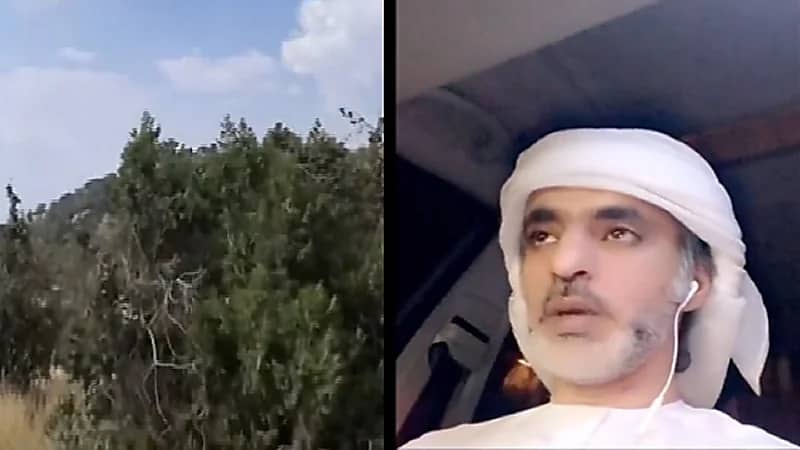 إماراتيون ينبهرون بجمال أبها والباحة.. فيديو