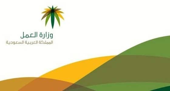 فتح إمكانية النقل وتغيير مراكز الرعاية النهارية.. الأربعاء