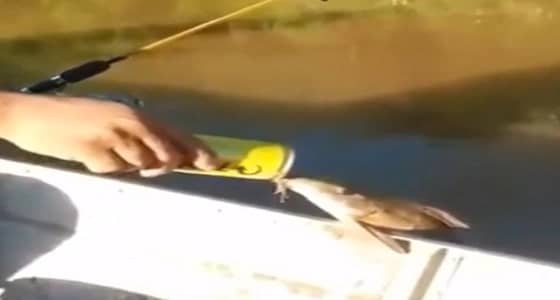 فيديو صادم لسمكة تحتسي " الخمر "