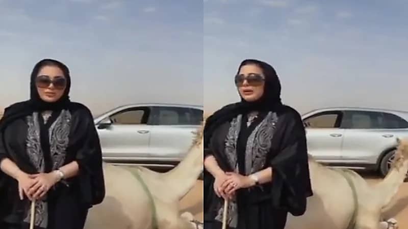 فيديو.. أمينة العلي تتلقى هدية بكرة إبل من رجل أعمال: "الوعد بالصياهد"