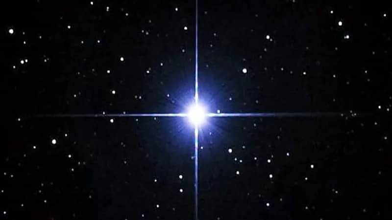 المسند: غدًا دخول طالع الجبهة