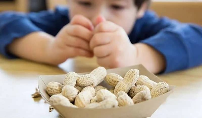 دراسة جديدة تكشف مفاجأة بشأن تأثير الفول السوداني على الأطفال 