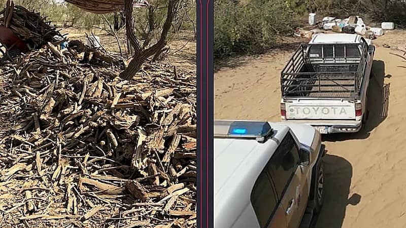 ضبط 6 مخالفين لنظام البيئة بمكة المكرمة .. فيديو