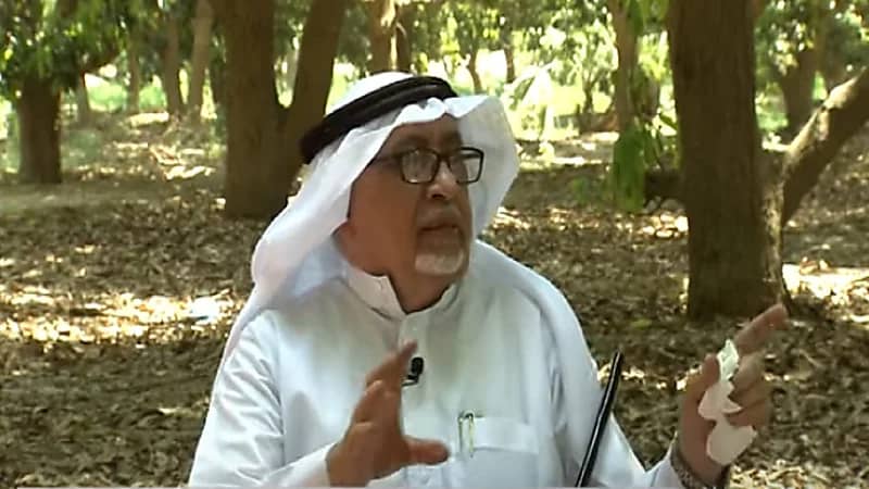 بالفيديو.. صاحب مزارع المانجو في صبيا يدعو لتسويق المنتجات بالطريقة الأمريكية
