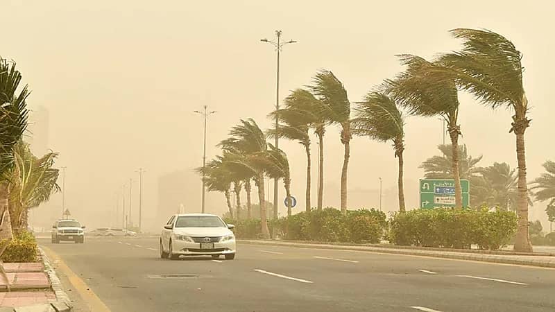 متحدث الصحة يكشف عن تفاصيل رصد إصابة بمتحور أوميكرون في المملكة "فيديو"