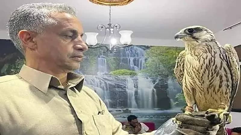 بالصور.. بيع أغلى صقر في العالم في مزاد علني