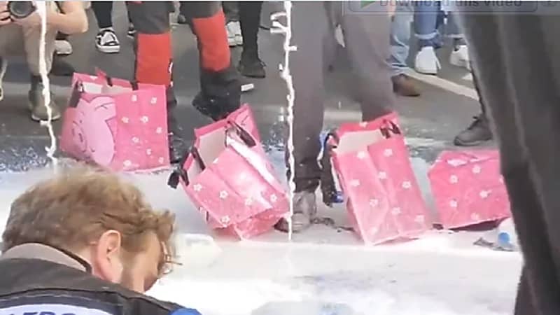 بالفيديو .. نباتيون يسكبون حليب أبقار في الشوارع