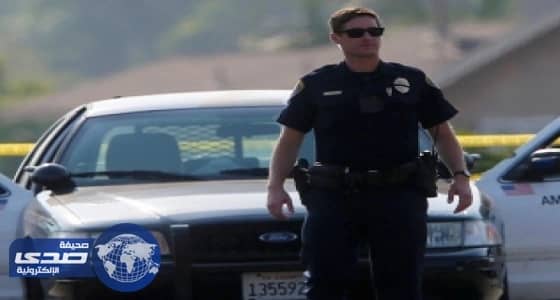 القبض على شاب أمريكي صفع حمارا على وجهه