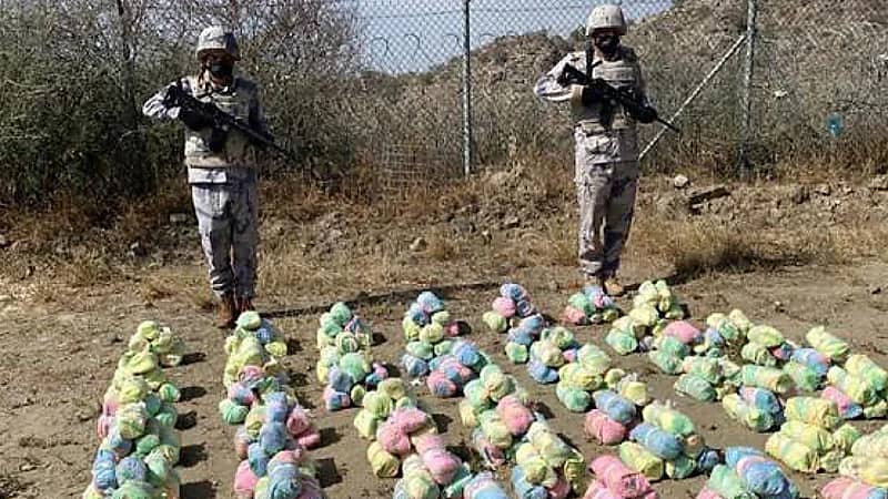 إحباط تهريب 160 كيلوجرامًا من نبات القات المخدر بجازان