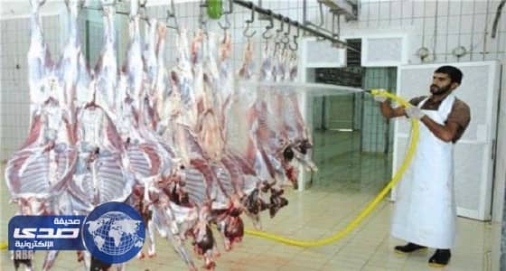 أمين الطائف: 3 آلاف رأس من الماشية يومياً لمواجهة كثافة المواسم