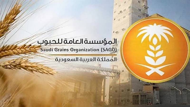 العامة للحبوب تعلن صرف مستحقات الدفعة الثانية من مزارعي القمح المحلي