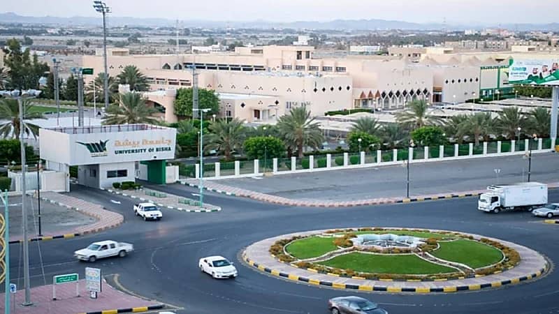 جامعة بيشة تعلن عن وظائف شاغرة لسد احتياج الكليات بنظام التعاون