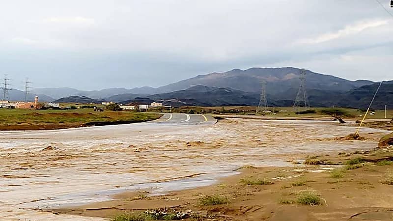 غرق 3 أطفال من أسرة واحدة بالمظيلف