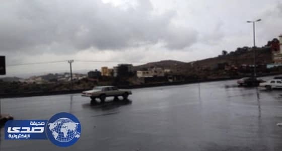مدني الباحة " ينبه " من تقلبات جوية غداً على المنطقة