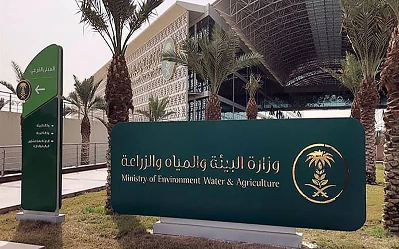 "البيئة".. 700 ألف شخص يموتون سنويا بسبب استخدام مضادات الميكروبات