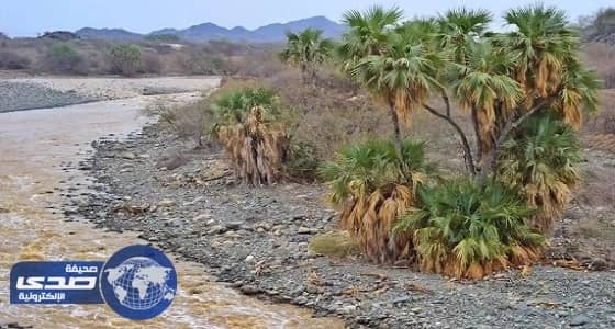 بالصور.. الأمطار تجذب السائحين للتنزه بأودية جازان
