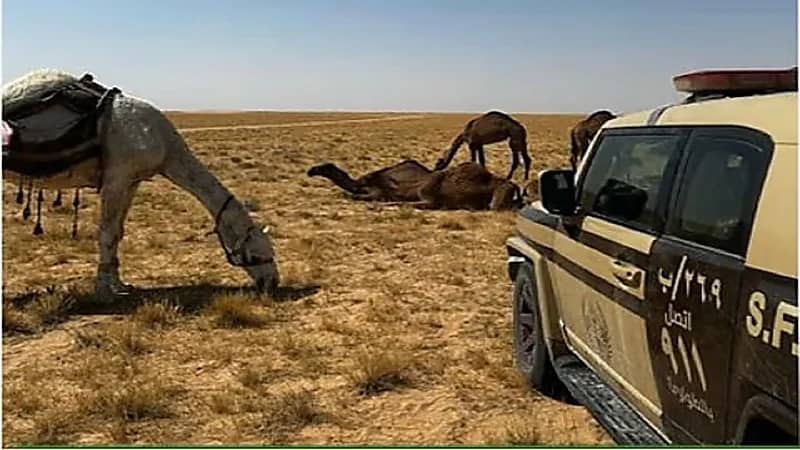 ضبط مواطنين مخالفين لنظام البيئة