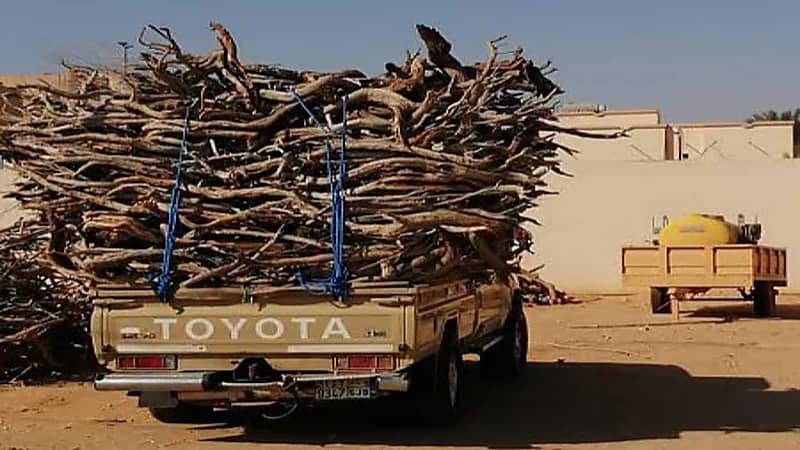  عقوبة بيع و نقل الحطب والفحم المحليين تصل إلى 16 ألف ريال