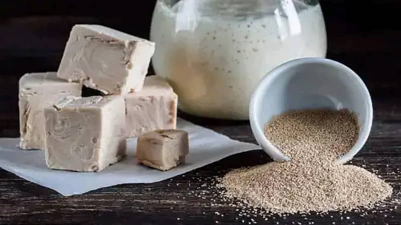 أبرز الفوائد الصحية للخميرة