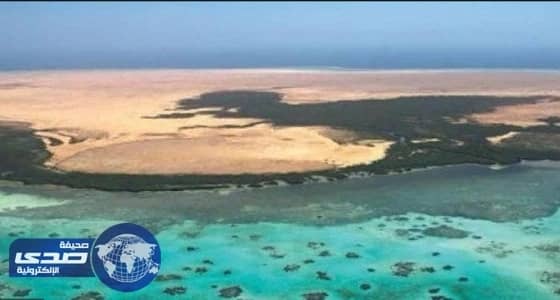 " غرفة أبها " مشروع البحر الأحمر سيحقق طفرة لصناعة السياحة بالمملكة